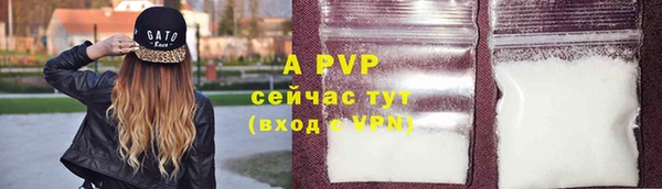 стафф Заводоуковск