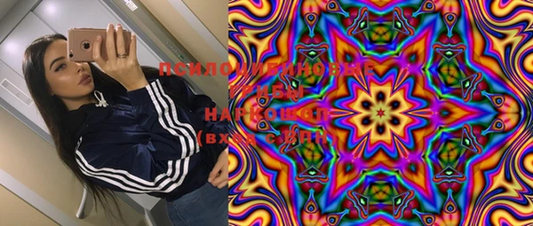 эйфоретик Елабуга
