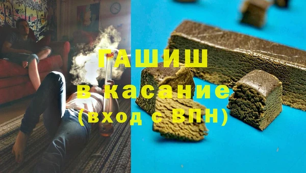стафф Заводоуковск