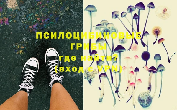 эйфоретик Елабуга