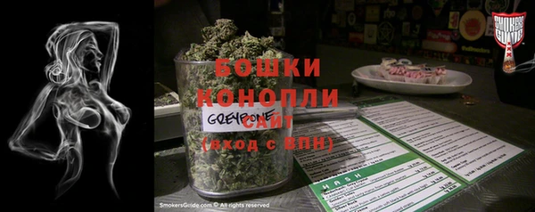 стафф Заводоуковск