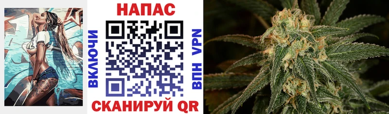Купить  Строитель  Шишки марихуана Bruce Banner 